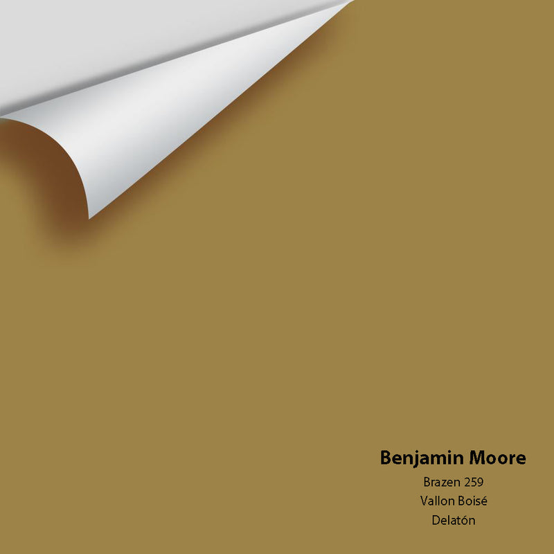Benjamin Moore - Brazen 259 Peel & Stick Color Sample