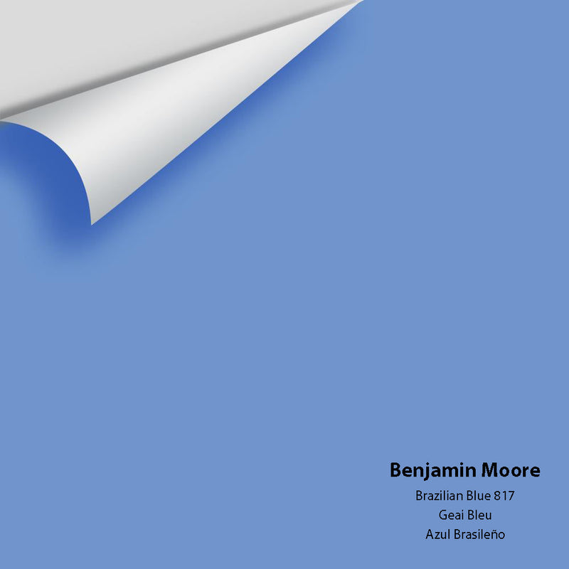 Benjamin Moore - Brazilian Blue 817 Peel & Stick Color Sample
