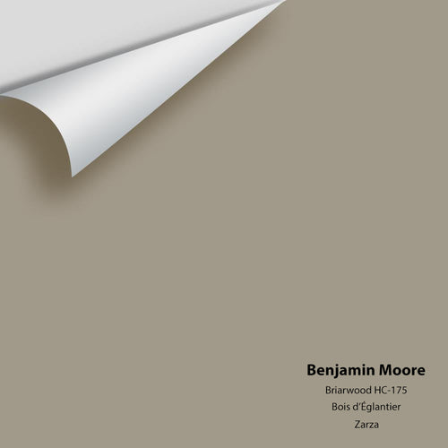 Benjamin Moore - Briarwood HC-175 Peel & Stick Color Sample