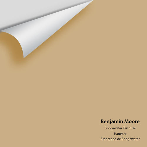 Benjamin Moore - Bridgewater Tan 1096 Peel & Stick Color Sample