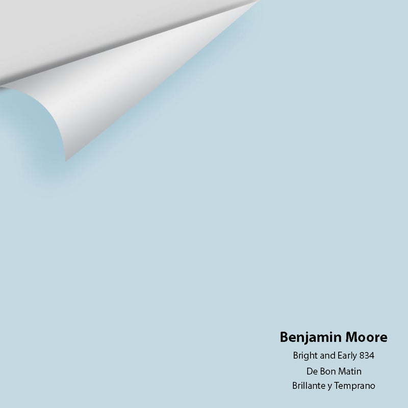 Benjamin Moore - Bright And Early 834 Peel & Stick Color Sample