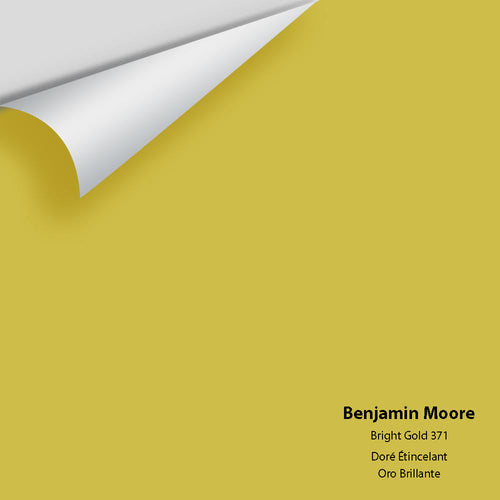 Benjamin Moore - Bright Gold 371 Peel & Stick Color Sample