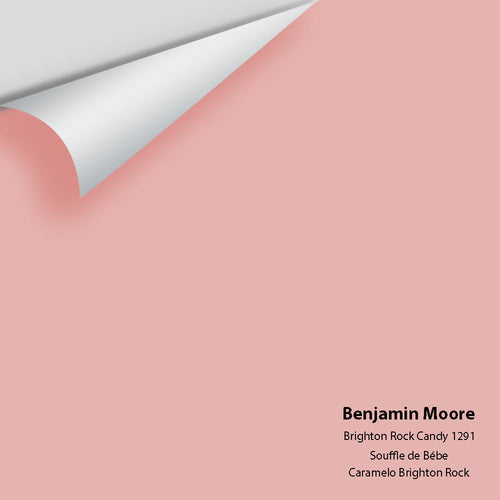 Benjamin Moore - Brighton Rock Candy 1291 Peel & Stick Color Sample