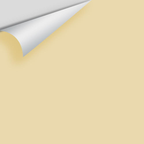 Benjamin Moore - Bronzed Beige 2151-50 Peel & Stick Color Sample