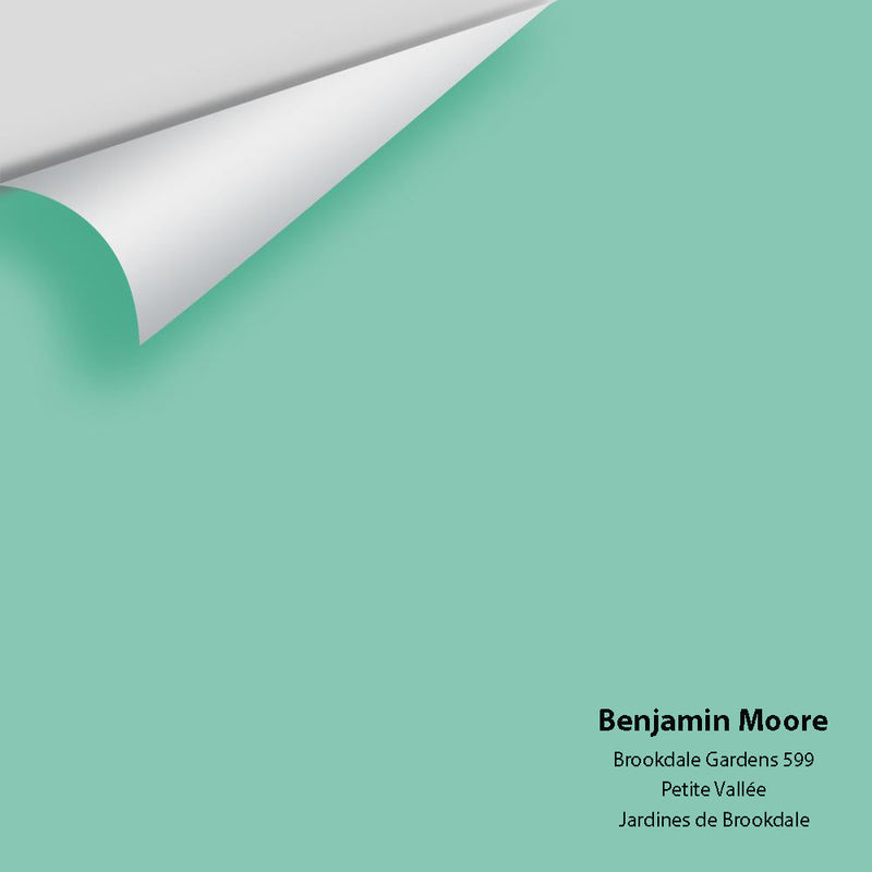 Benjamin Moore - Brookdale Gardens 599 Peel & Stick Color Sample