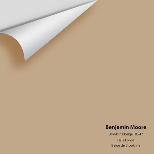 Benjamin Moore - Brookline Beige HC-47 Peel & Stick Color Sample