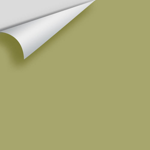 Benjamin Moore - Brookside Moss 2145-30 Peel & Stick Color Sample