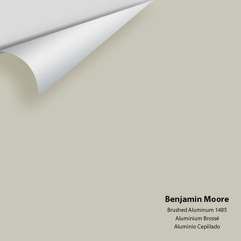 Benjamin Moore - Brushed Aluminum 1485 Peel & Stick Color Sample