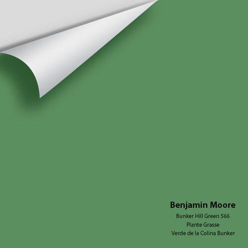 Benjamin Moore - Bunker Hill Green 566 Peel & Stick Color Sample