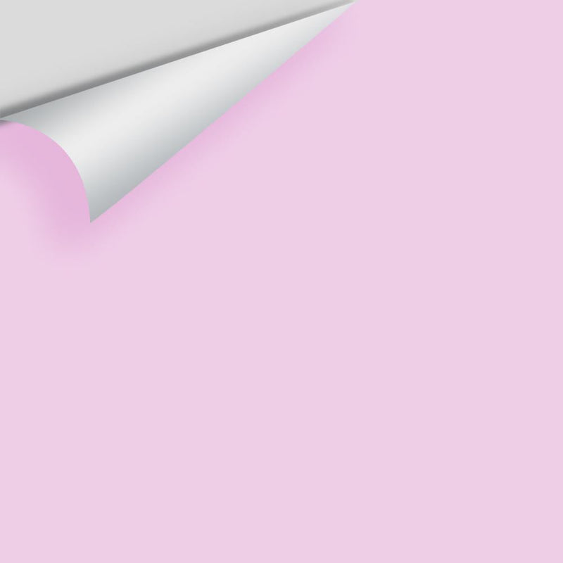 Benjamin Moore - Bunny Nose Pink 2074-60 Peel & Stick Color Sample