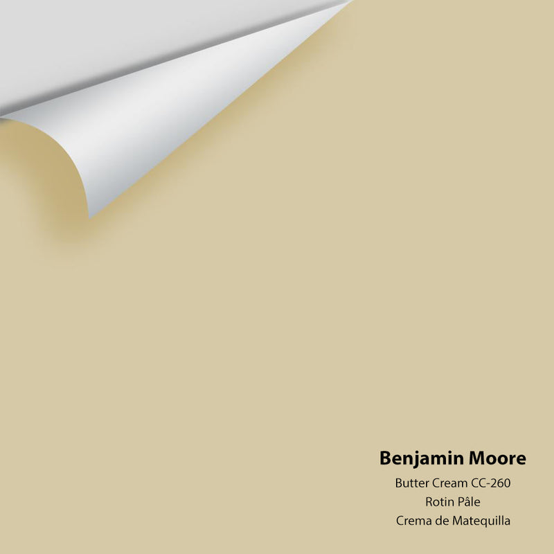 The Color House Benjamin Moore Peel & Stick Paint Samples thecolorhouse