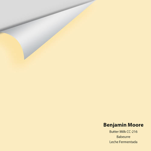 Benjamin Moore - Butter Milk CC-216 Peel & Stick Color Sample