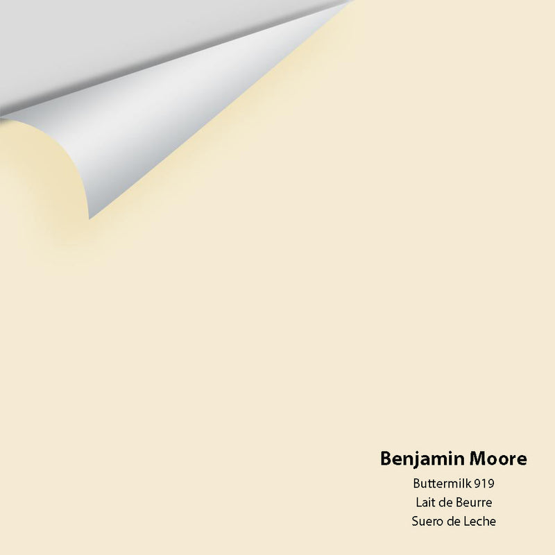 Benjamin Moore - Buttermilk 919 Peel & Stick Color Sample
