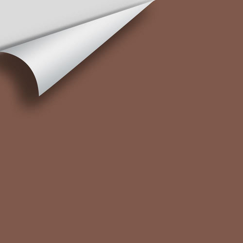 Benjamin Moore - Butternut Brown 2095-30 Peel & Stick Color Sample