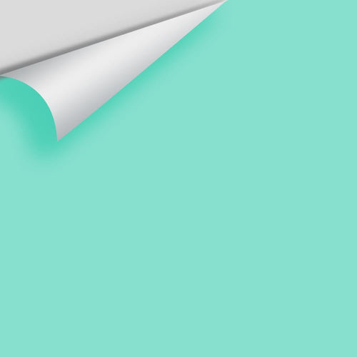 Benjamin Moore - Caribe Green 2042-50 Peel & Stick Color Sample