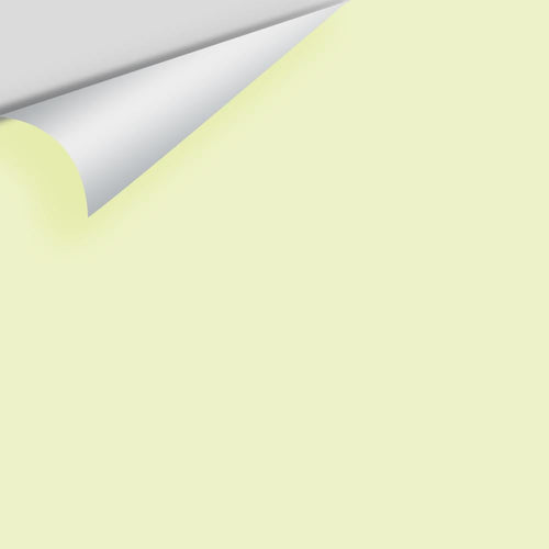 Benjamin Moore - Celadon Green 2028-60 Peel & Stick Color Sample