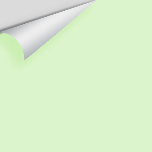 Benjamin Moore - Celery Ice 2030-60 Peel & Stick Color Sample