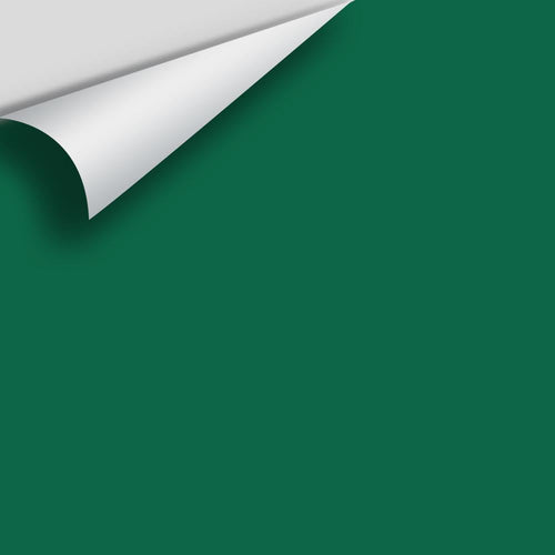 Benjamin Moore - Celtic Green 2038-10 Peel & Stick Color Sample