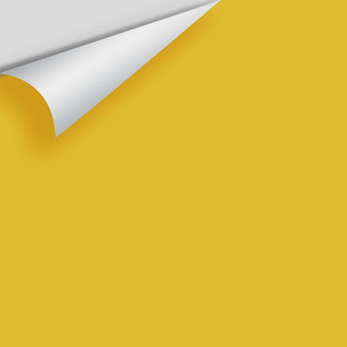 Benjamin Moore - Citron 2024-30 Peel & Stick Color Sample