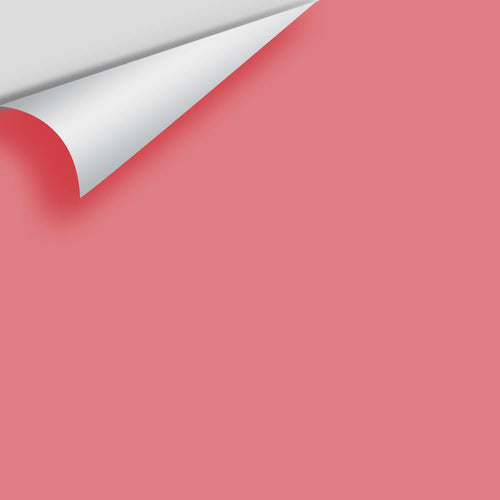 Benjamin Moore - Coral Essence 2007-40 Peel & Stick Color Sample