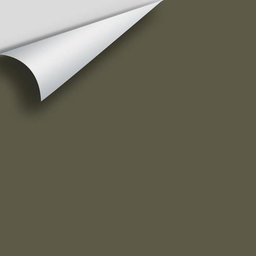 Benjamin Moore - Cabbage Patch 2141-20 Peel & Stick Color Sample