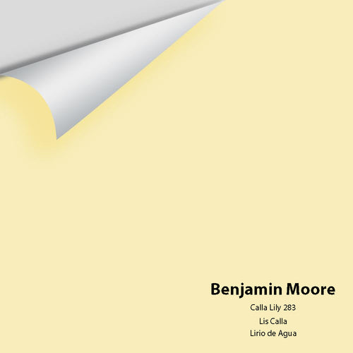 Benjamin Moore - Calla Lily 283 Peel & Stick Color Sample