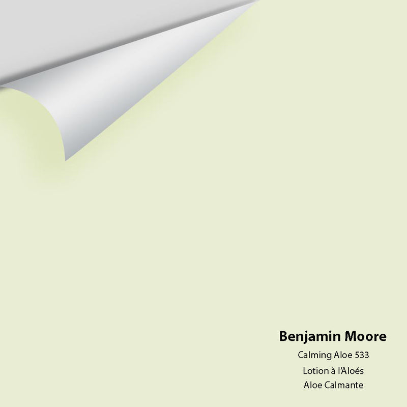 Benjamin Moore - Calming Aloe 533 Peel & Stick Color Sample