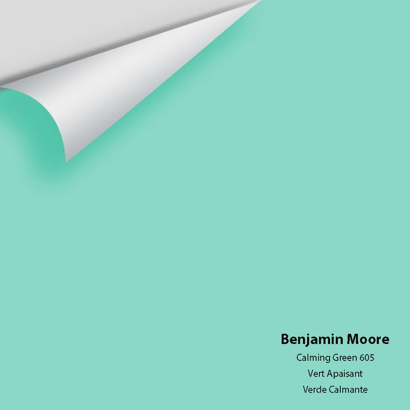 Benjamin Moore - Calming Green 605 Peel & Stick Color Sample