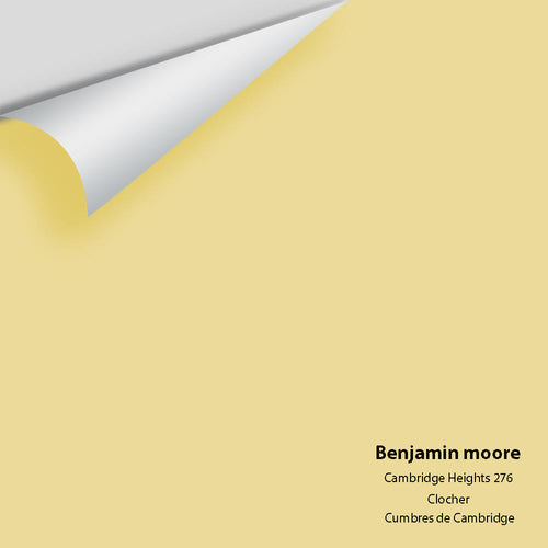 Benjamin Moore - Cambridge Heights 276 Peel & Stick Color Sample