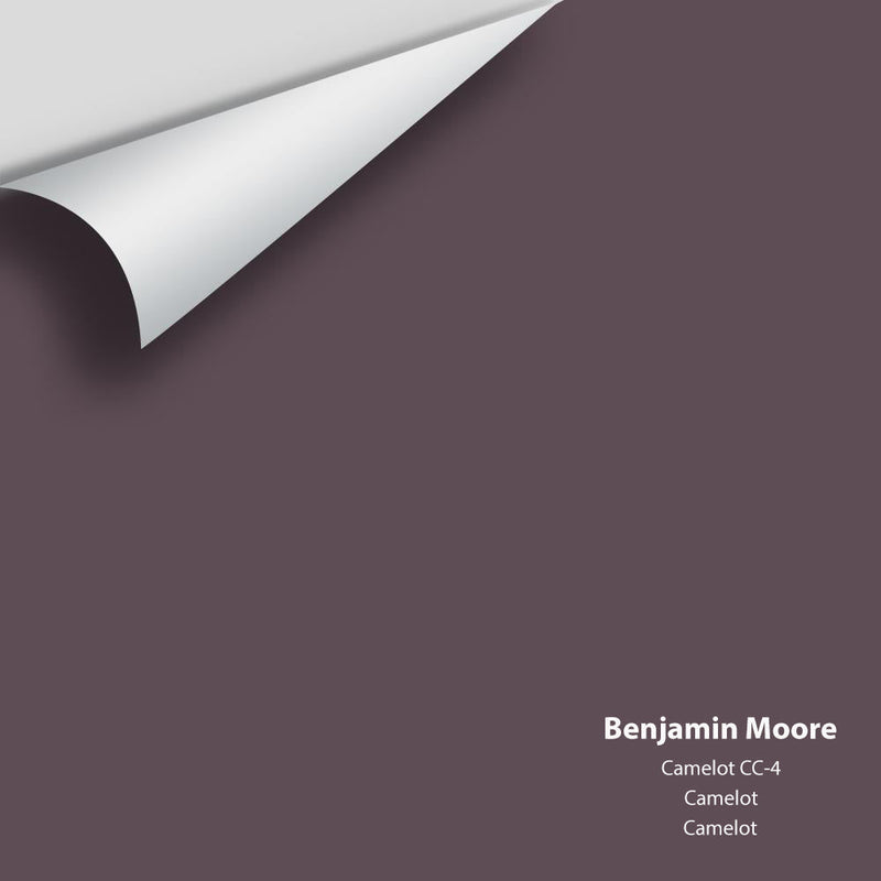 Benjamin Moore - Camelot CC-4 Peel & Stick Color Sample