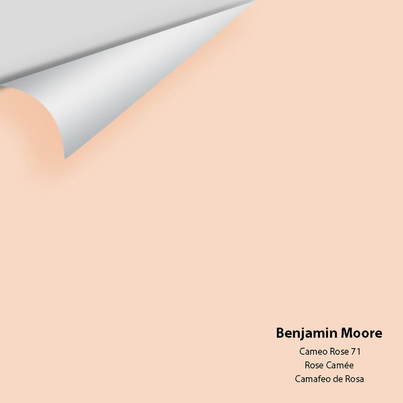 Benjamin Moore - Cameo Rose 71 Peel & Stick Color Sample