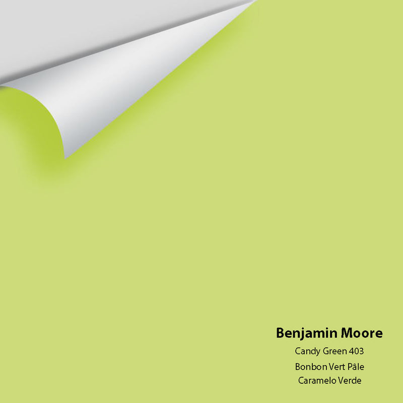 Benjamin Moore - Candy Green 403 Peel & Stick Color Sample