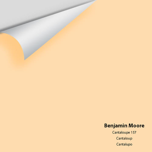 Benjamin Moore - Cantaloupe 157 Peel & Stick Color Sample