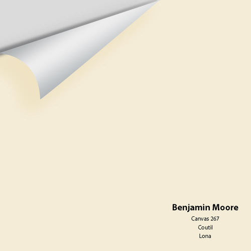 Benjamin Moore - Canvas 267 Peel & Stick Color Sample