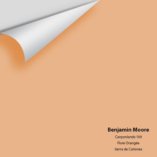 Benjamin Moore - Canyonlands 109 Peel & Stick Color Sample