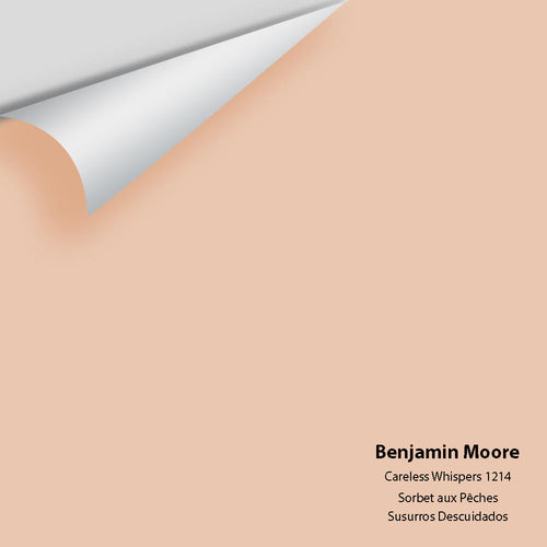 Benjamin Moore - Careless Whispers 1214 Peel & Stick Color Sample