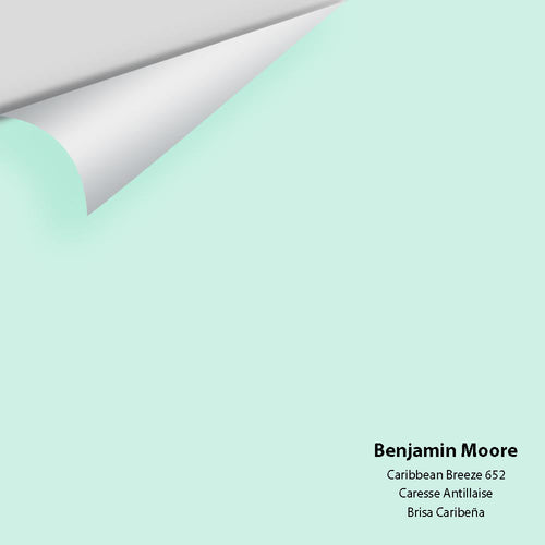 Benjamin Moore - Caribbean Breeze 652 Peel & Stick Color Sample