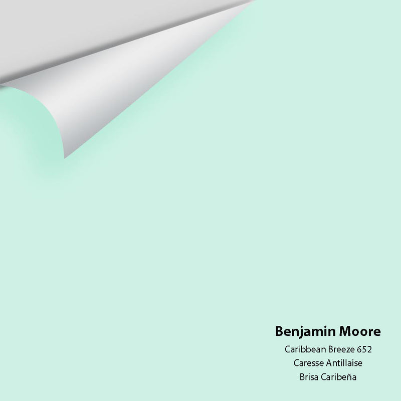 Benjamin Moore - Caribbean Breeze 652 Peel & Stick Color Sample