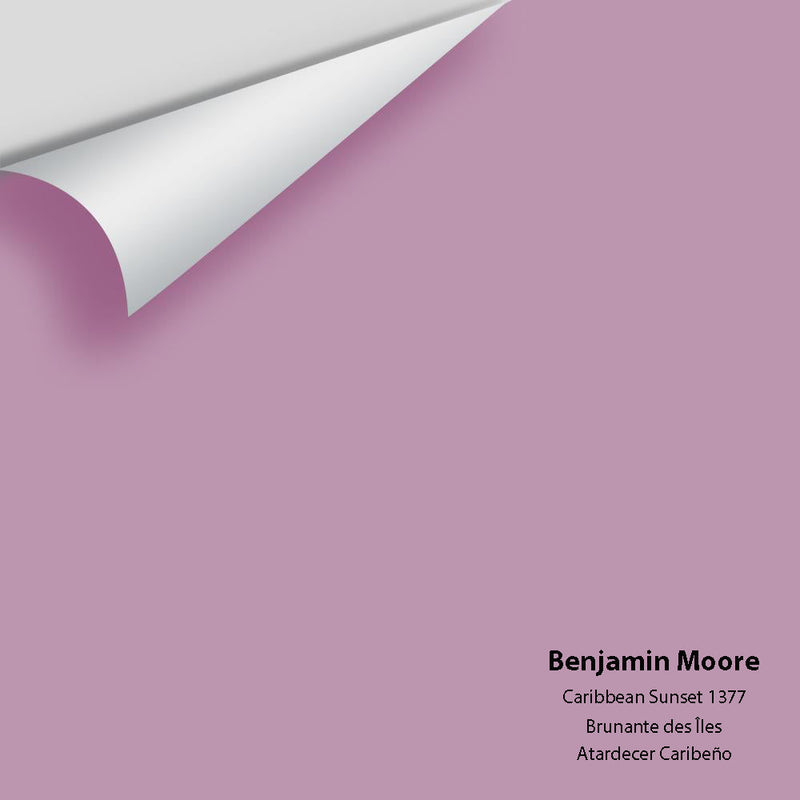 Benjamin Moore - Caribbean Sunset 1377 Peel & Stick Color Sample