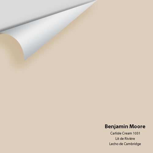 Benjamin Moore - Carlisle Cream 1031 Peel & Stick Color Sample