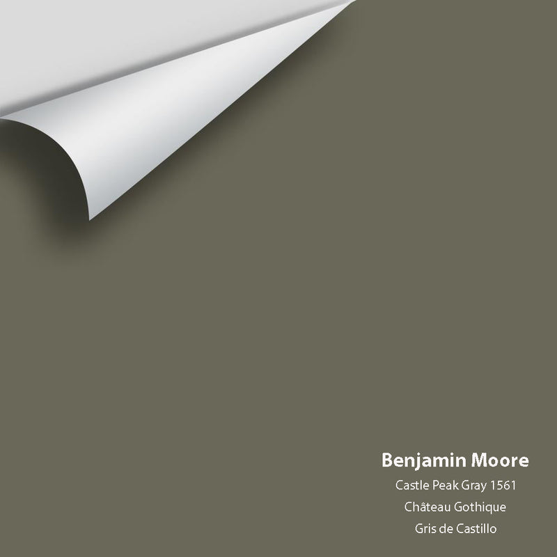 Benjamin Moore - Castle Peak Gray 1561 Peel & Stick Color Sample