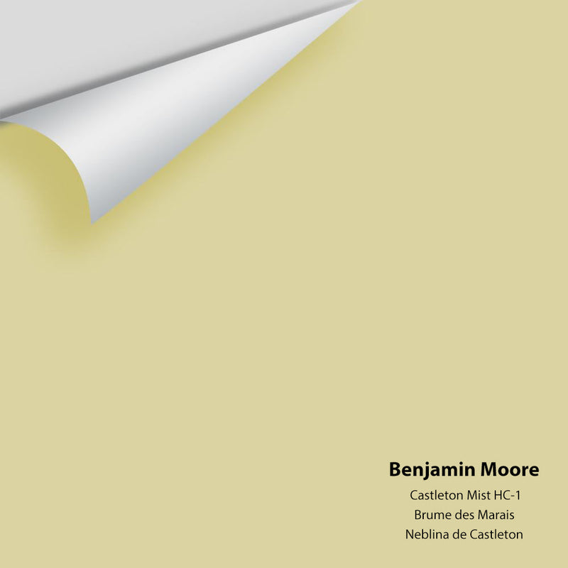 Benjamin Moore - Castleton Mist HC-1 Peel & Stick Color Sample