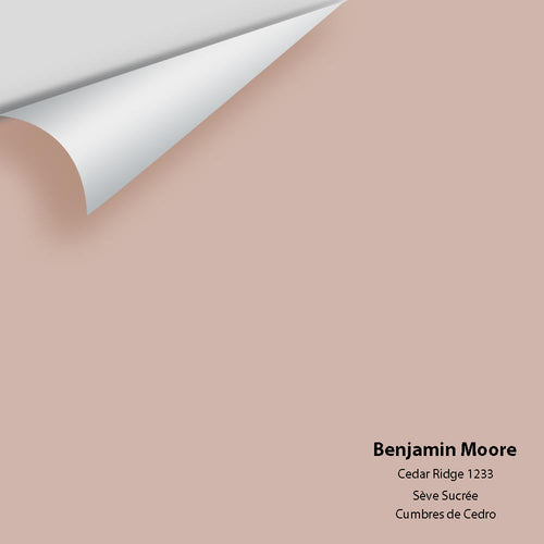 Benjamin Moore - Cedar Ridge 1233 Peel & Stick Color Sample