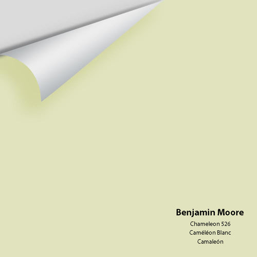 Benjamin Moore - Chameleon 526 Peel & Stick Color Sample