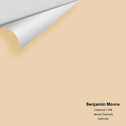 Benjamin Moore - Chamois 1108 Peel & Stick Color Sample