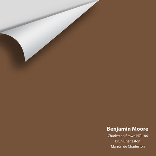 Benjamin Moore - Charleston Brown HC-186 Peel & Stick Color Sample