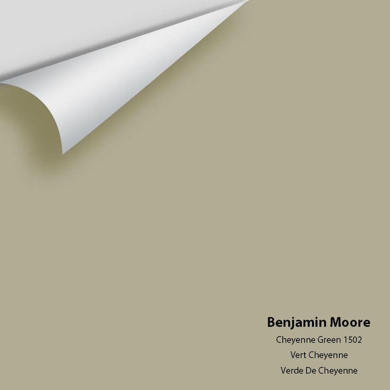 Benjamin Moore - Cheyenne Green 1502 Peel & Stick Color Sample