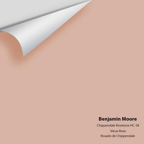 Benjamin Moore - Chippendale Rosetone HC-58 Peel & Stick Color Sample
