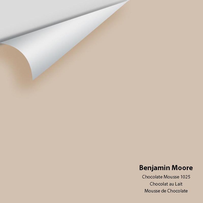 Benjamin Moore - Chocolate Mousse 1025 Peel & Stick Color Sample