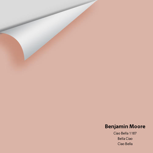 Benjamin Moore - Ciao Bella 1187 Peel & Stick Color Sample